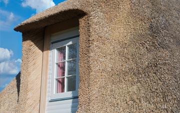 Newtyle thatch roof disadvantages