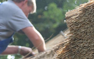 professional Newtyle thatchers