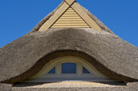 Newtyle thatch roofing